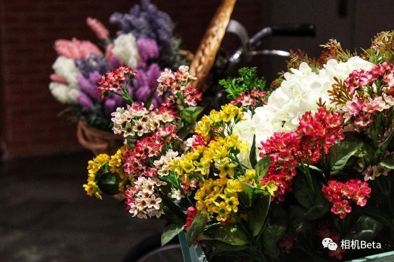 小单反相机入门,最小的单反相机有哪些