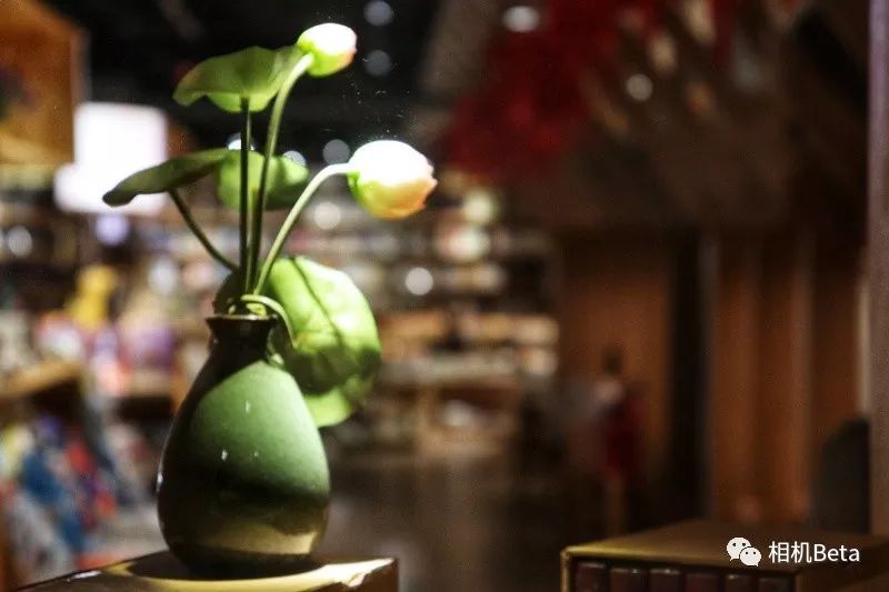 小单反相机入门,最小的单反相机有哪些