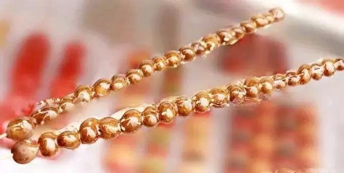 山药和山药豆的效果一样吗,吃山药豆有什么好处与坏处