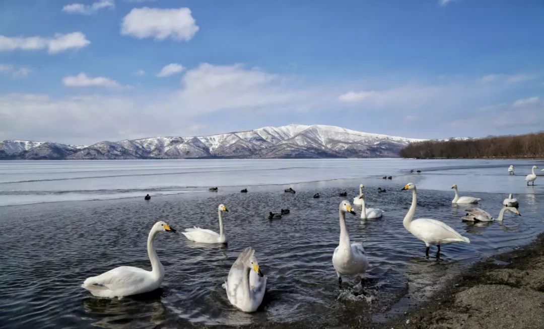 日本最后的秘境,日本最北端北海道