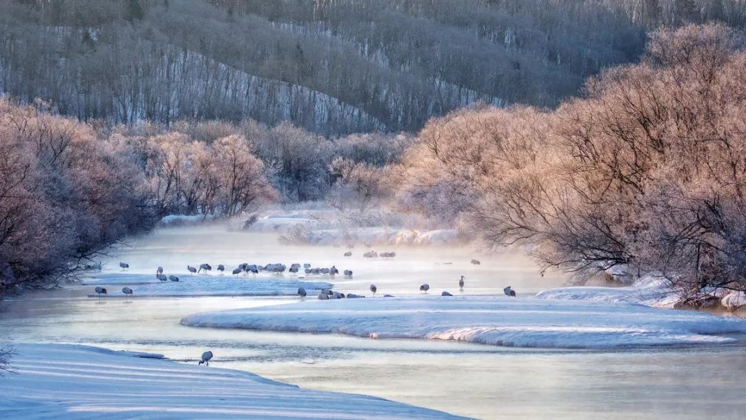 日本最后的秘境,日本最北端北海道