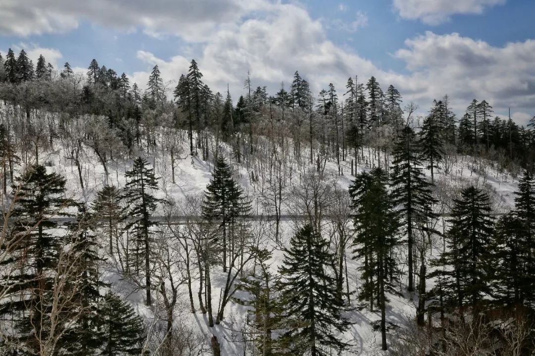 日本最后的秘境,日本最北端北海道