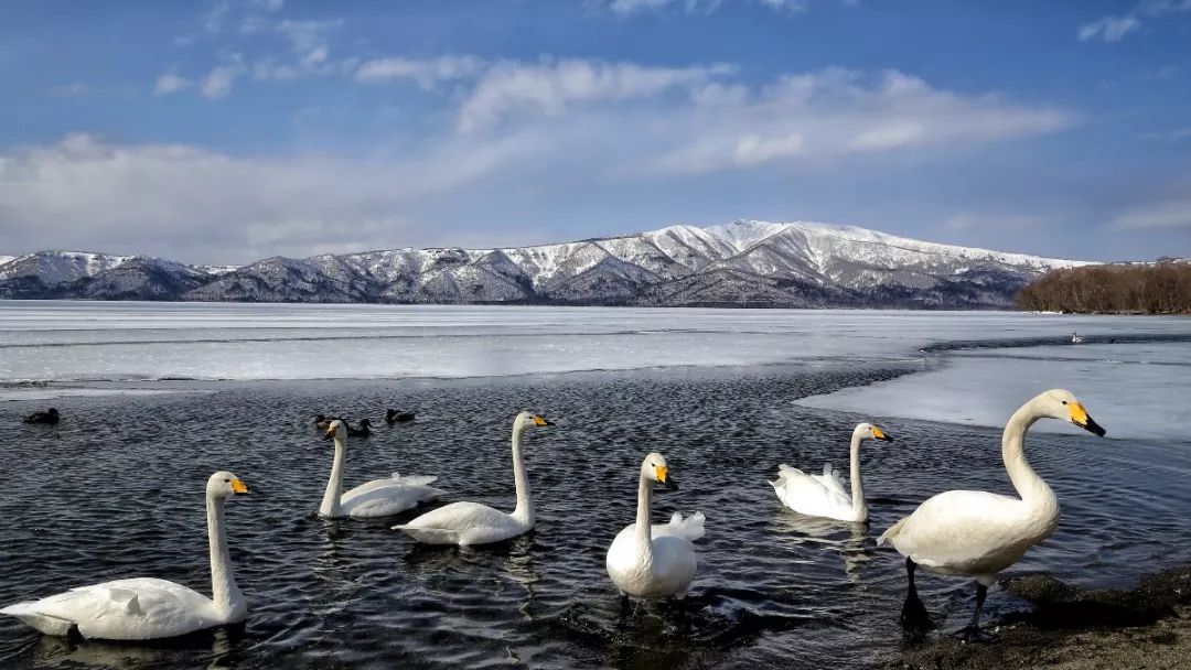 日本最后的秘境,日本最北端北海道