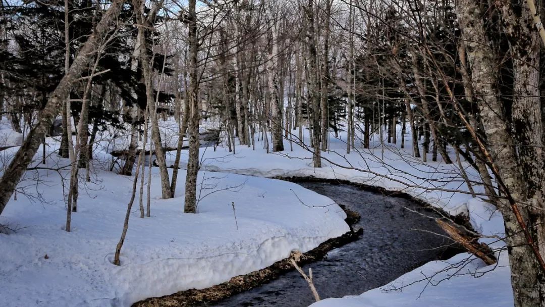 日本最后的秘境,日本最北端北海道