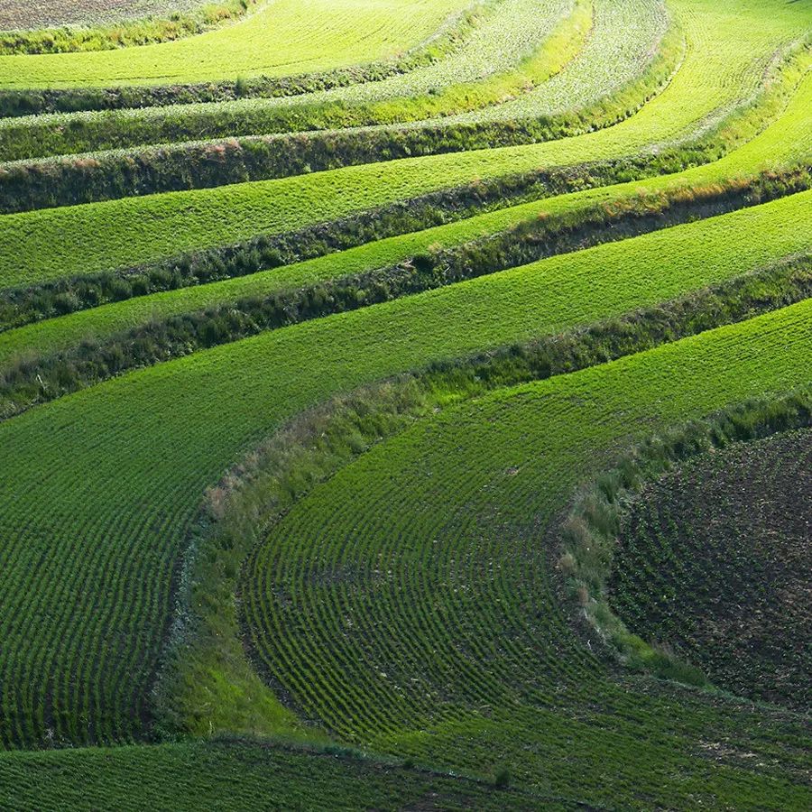 童话草原大套票,童话草原景区门票儿童购票标准