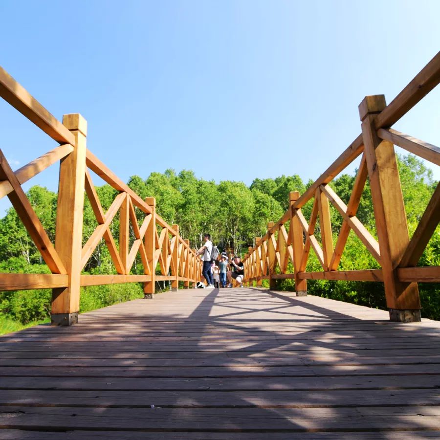 童话草原大套票,童话草原景区门票儿童购票标准