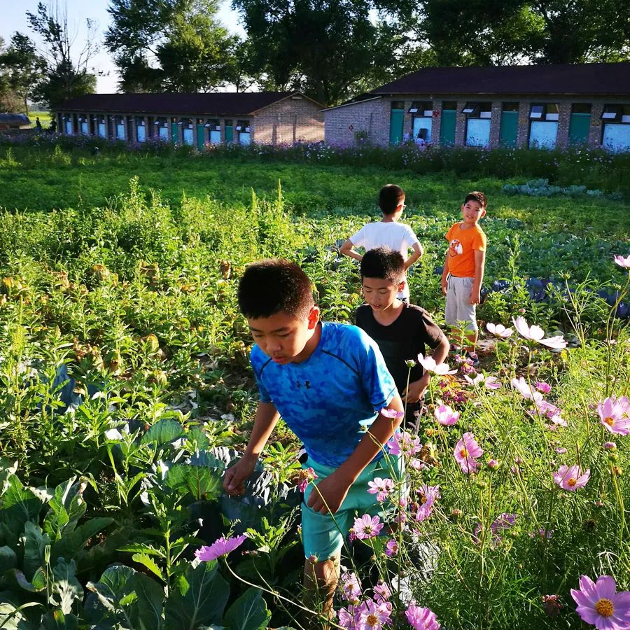 童话草原大套票,童话草原景区门票儿童购票标准