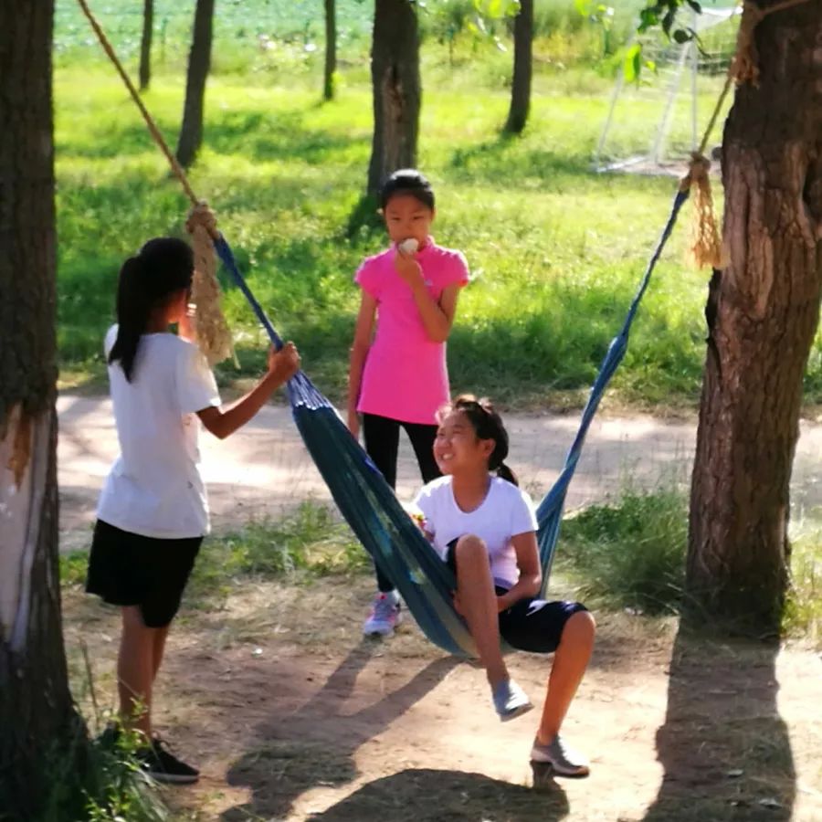 童话草原大套票,童话草原景区门票儿童购票标准