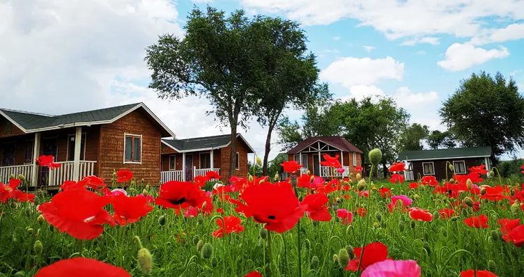 童话草原大套票,童话草原景区门票儿童购票标准