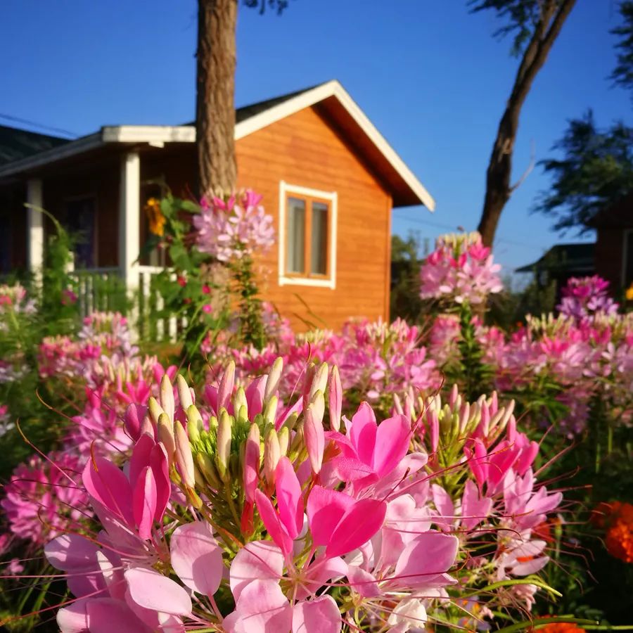 童话草原大套票,童话草原景区门票儿童购票标准