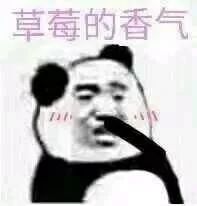 男人味是什么气味,男人味到底是什么味听00后说