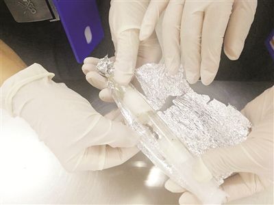 天津物种入侵,天津外来物种入侵