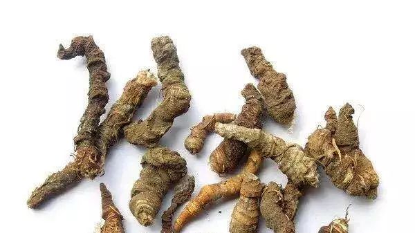 何首乌每周喝几次好,每天一个何首乌