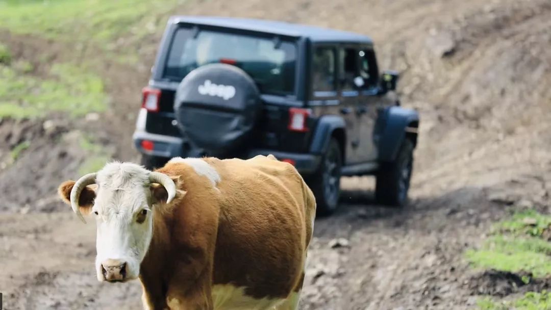 牧马人的优缺点你了解吗,牧马人的缺点和不足