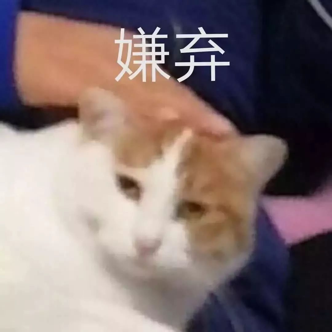 郴州话日常用语,湖南郴州桂阳方言日常用语300句