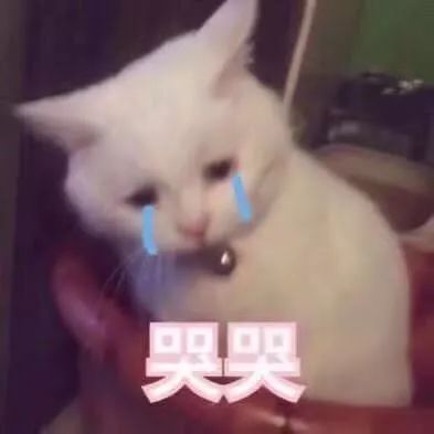 郴州话日常用语,湖南郴州桂阳方言日常用语300句