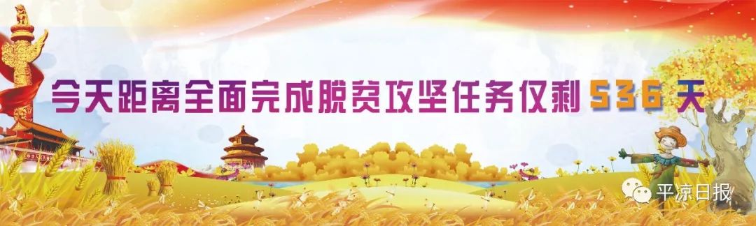 「2019平凉·崆峒文化旅游节」这些*物文**，带你读懂平凉前世今生