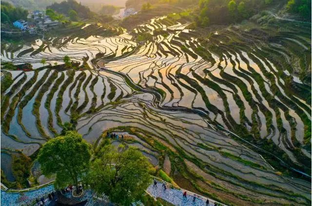 要火了!荆门这个村子拟入选这个国家级名单!