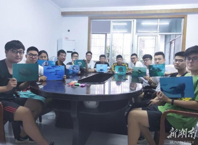 朱鹮是东方白鹤吗,东方宝石朱鹮