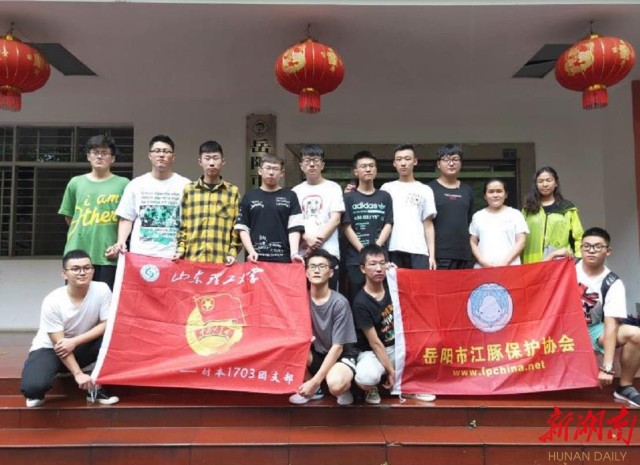 朱鹮是东方白鹤吗,东方宝石朱鹮