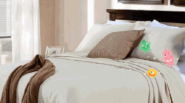 除螨虫喷雾剂哪款最好,喷一喷就可以除螨是真的吗