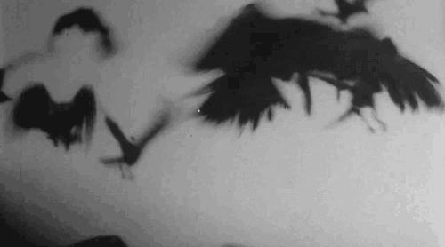 让蚊子快速灭绝的音乐,灭绝的驱蚊神曲