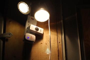 让蚊子快速灭绝的音乐,灭绝的驱蚊神曲