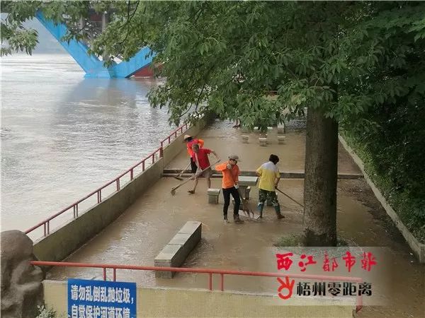梧州暴雨红色预警更新,广西梧州暴雨洪水预警