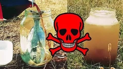 可乐腐蚀骨头辟谣,可乐骨质疏松最大谣言