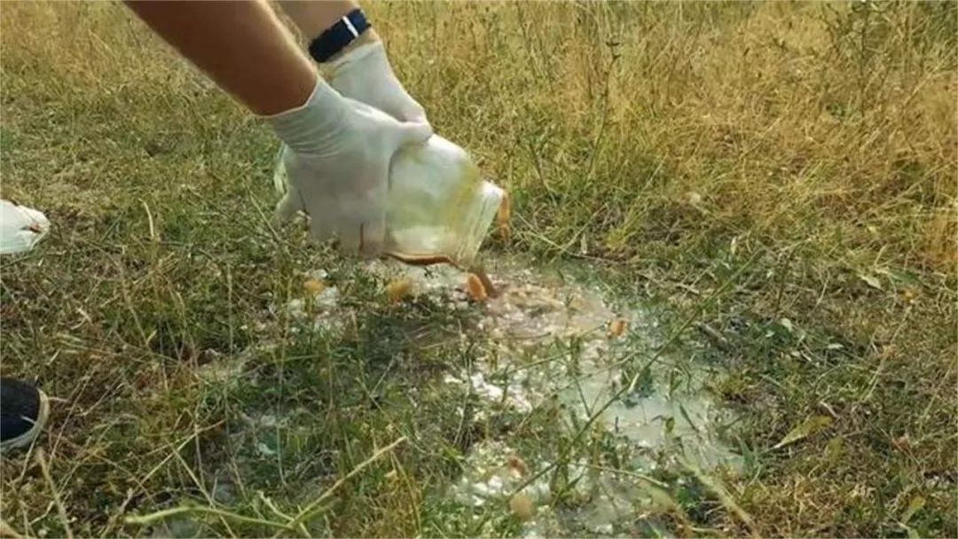 可乐腐蚀骨头辟谣,可乐骨质疏松最大谣言