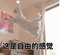 转发这个卫生棉条,比让你喝热水的男朋友管用多了!丨好物推荐