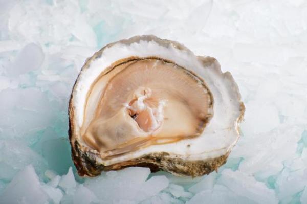 蚝不一样法国生蚝,最好的法国生蚝