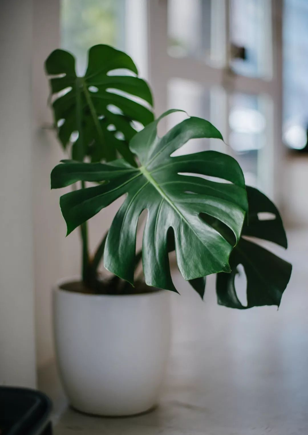 夏天房间开空调有臭味怎么解决,夏天空调有味换什么