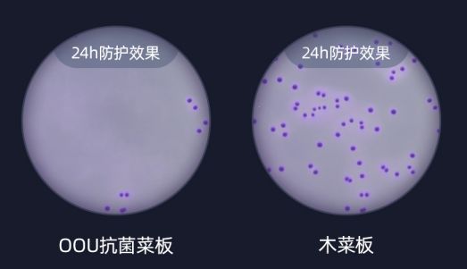 2000亿的细菌,哪种菜板不容易滋生细菌