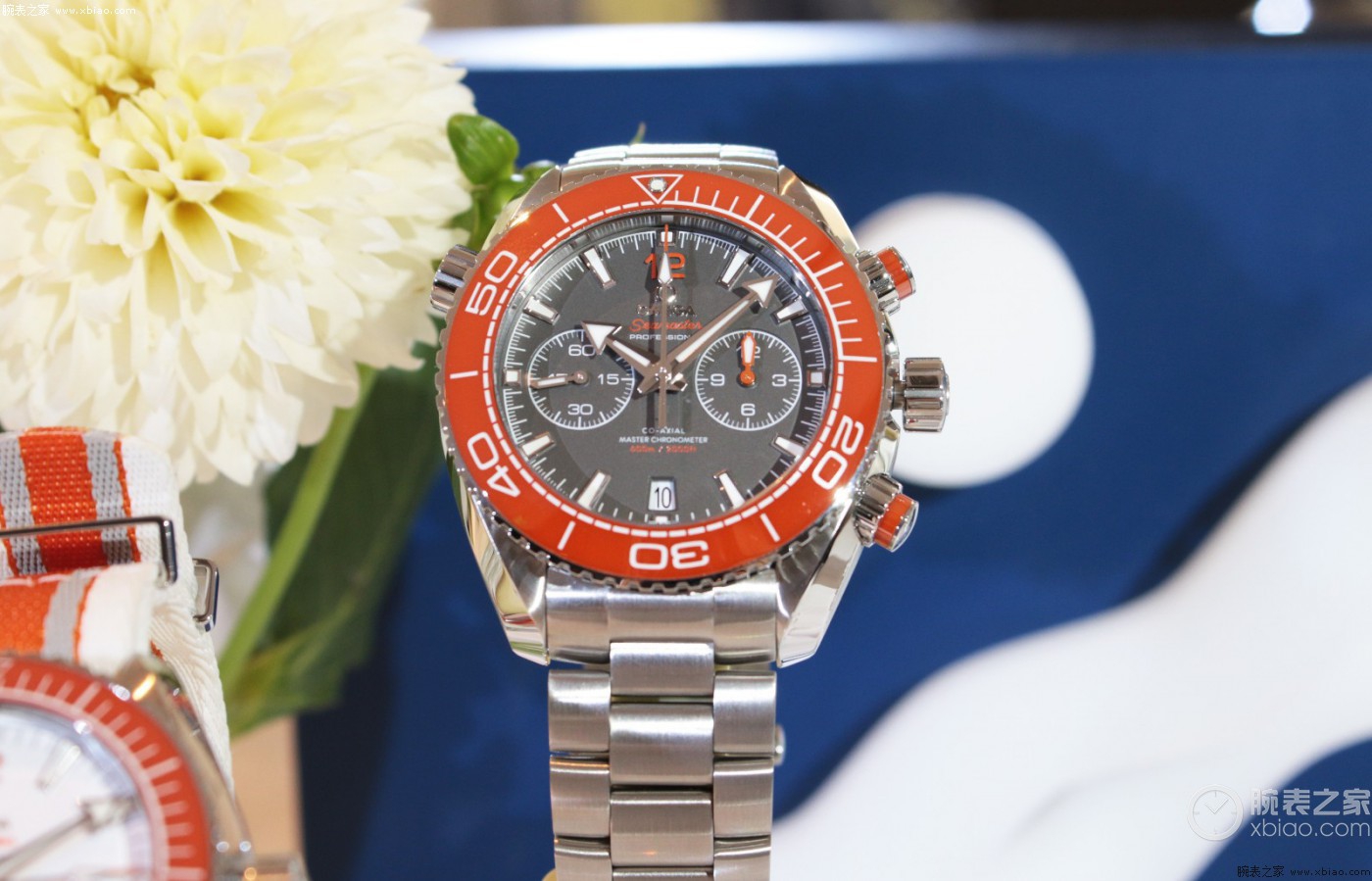 被看好的欧米茄全新海马系列海洋宇宙600米潜水表