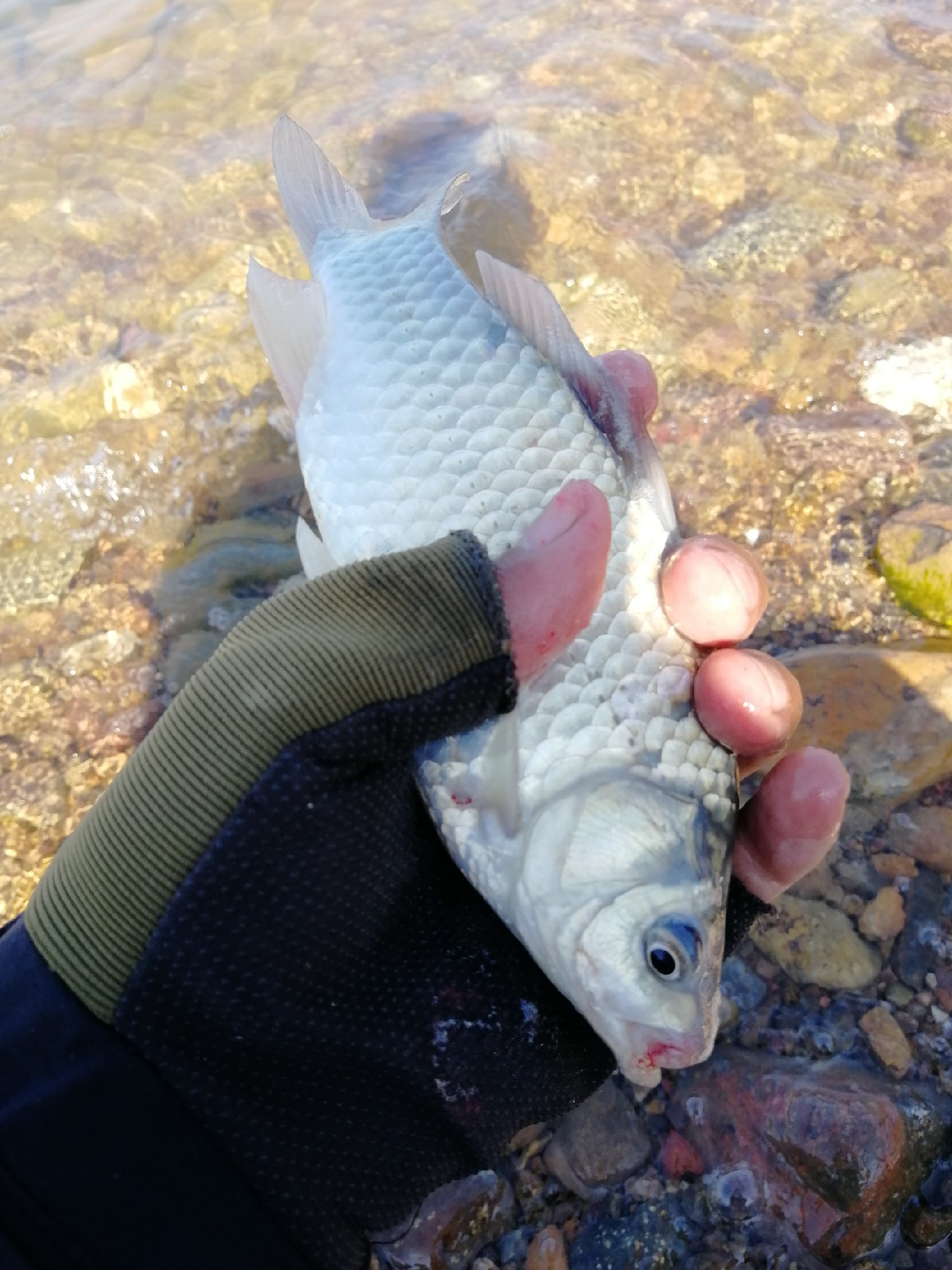 矶竿滑漂新玩法,矶钓滑漂完怎么收竿