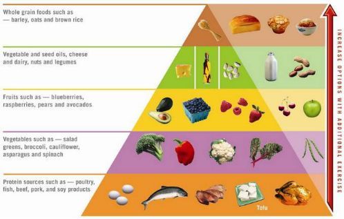 不是肥肉又不是肌肉的减肥法,21天减肥法减的是肌肉还是脂肪