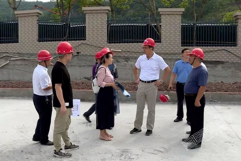 紫金小学师资,紫金小学报名条件