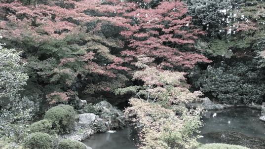 “在现”DanielArsham的八块拼图