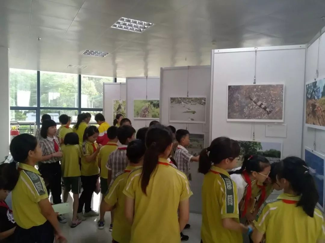 来图书馆学习,来图书馆学文化