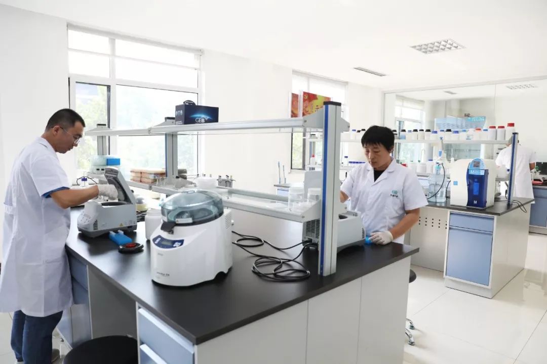 处处是干事创业的激情与精彩！全市乡村振兴和“双招双引”重点项目观摩点评之奎文、潍城、青州、临朐篇