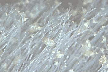 洗澡清洁身体神器,懒人搓澡按摩洗澡神器