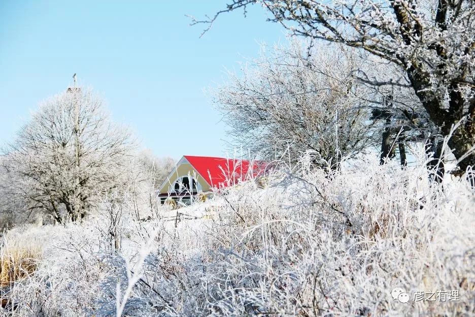 爱德华王子岛深度解析,爱德华王子岛