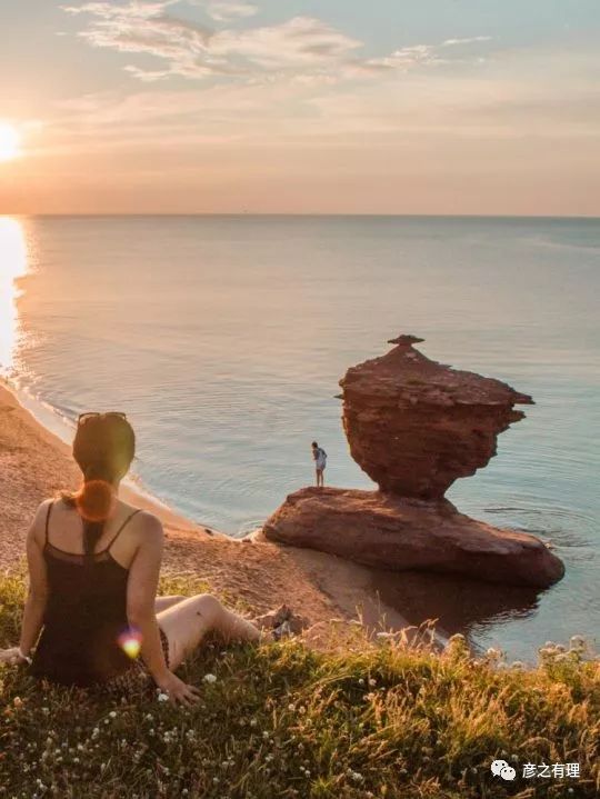 爱德华王子岛深度解析,爱德华王子岛