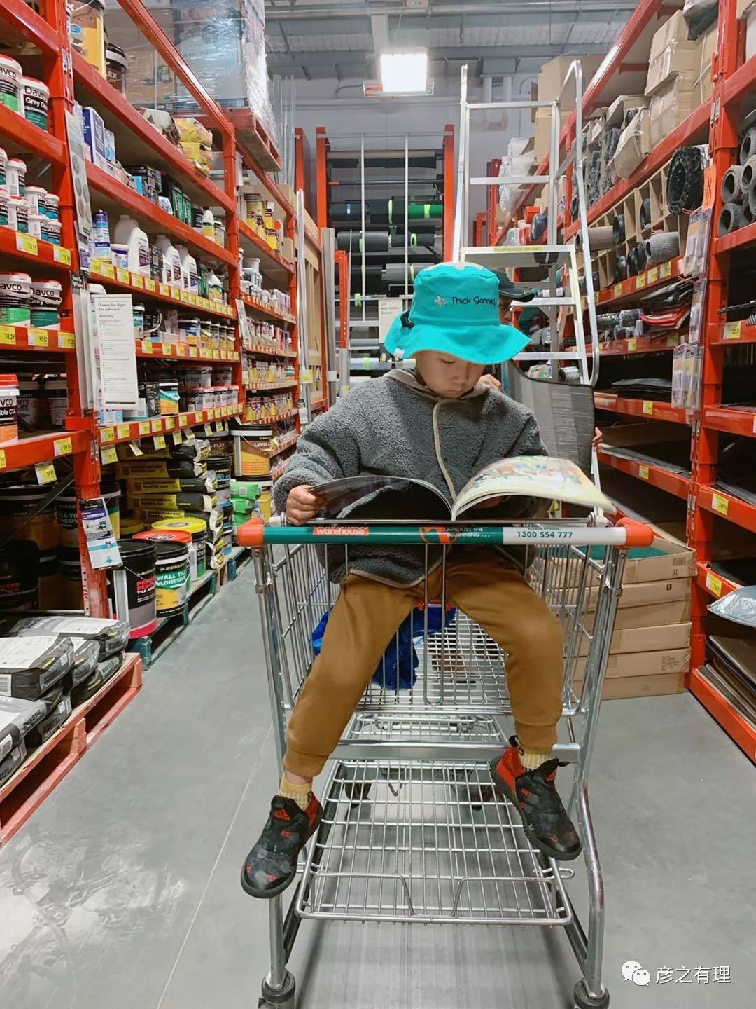 爱德华王子岛深度解析,爱德华王子岛