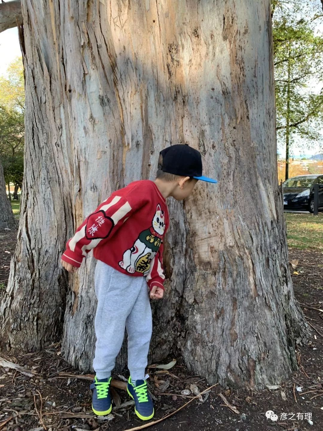 爱德华王子岛深度解析,爱德华王子岛
