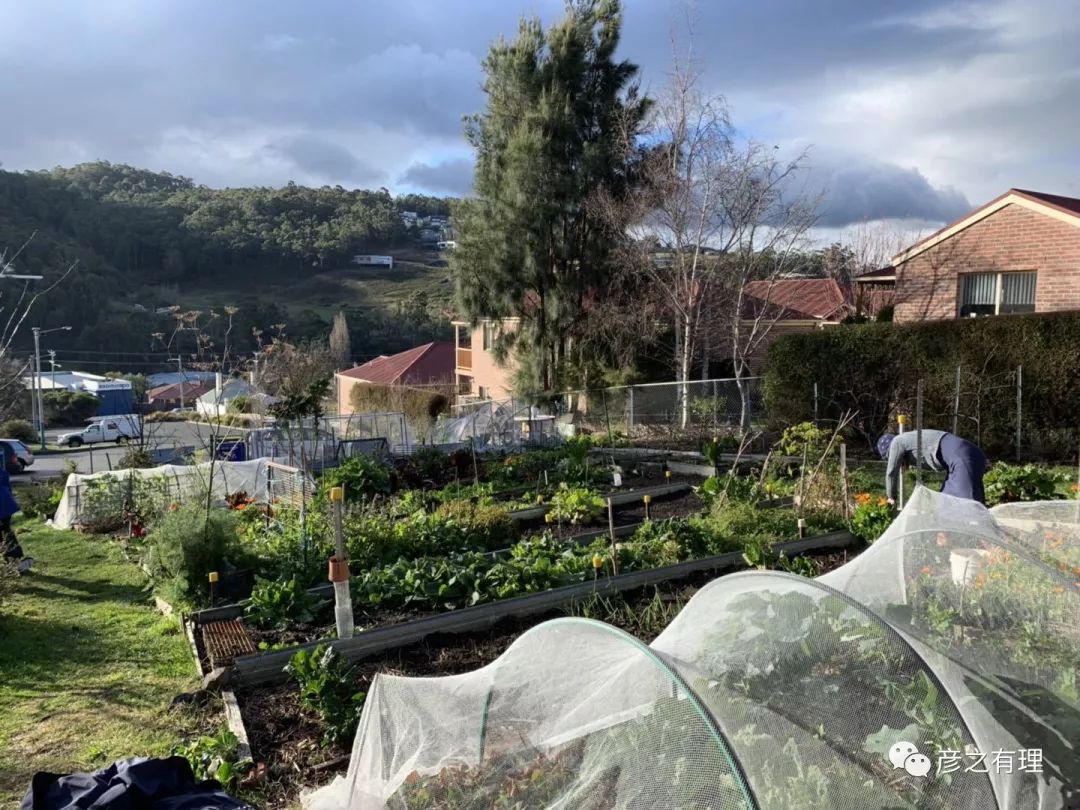 爱德华王子岛深度解析,爱德华王子岛