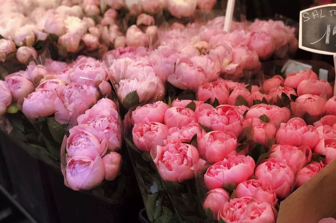 走出成都|幸运的人,才可以在巴黎自由迷失