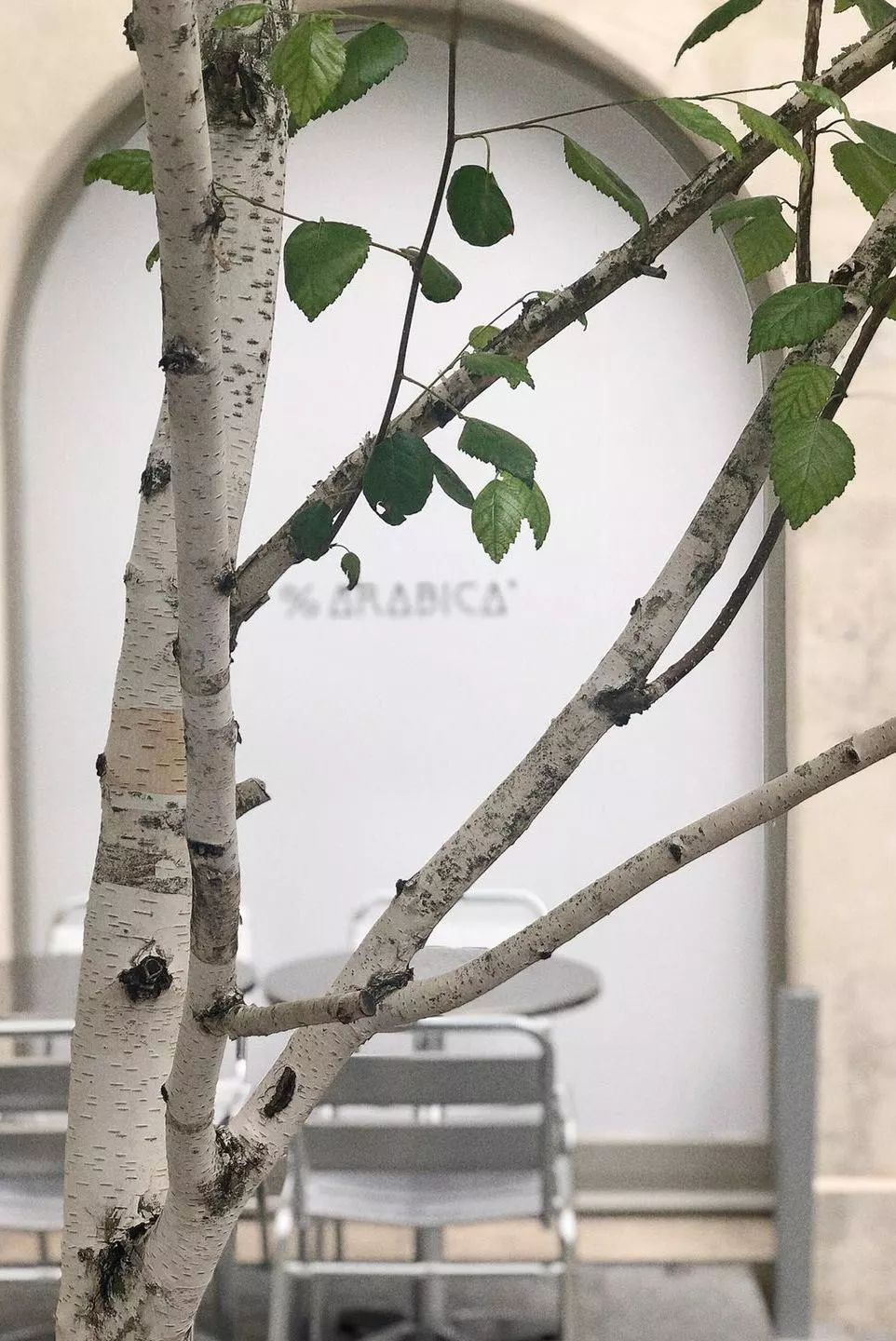 走出成都｜幸运的人，才可以在巴黎自由迷失