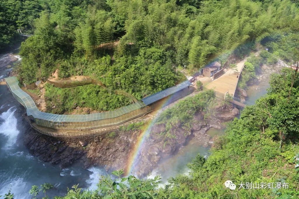领取夏季福利通知,广大同胞们的夏季福利